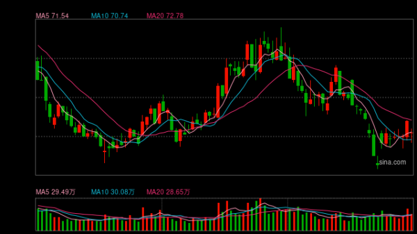 机器人霸屏春晚 基金经理纵论科技板块投资
