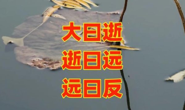 再论“大逝远反”：主语只有一个道，它既不循环，也不返回