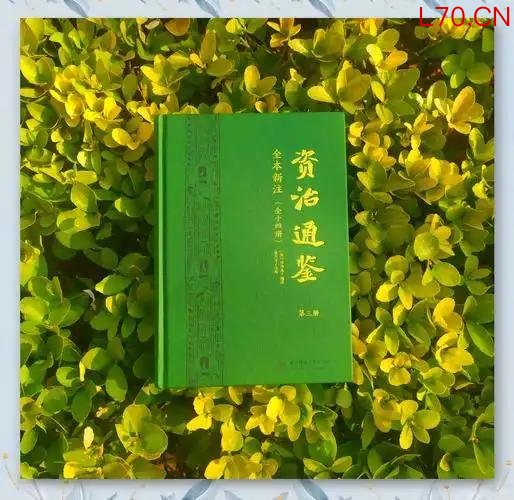 别把手段当目的，《资治通鉴》：成事的关键是盯着你的“想要”