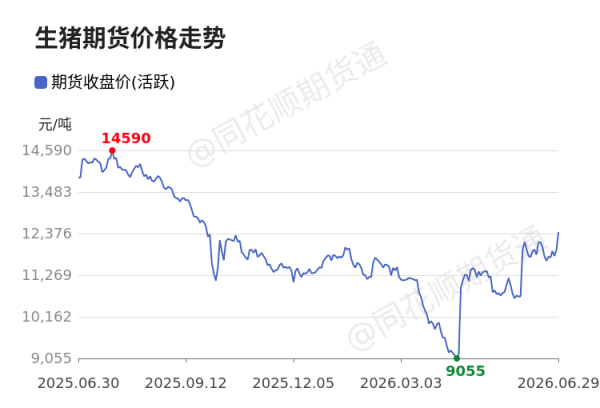 价格前线|6月29日生猪主连异动提示