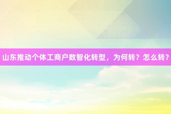 山东推动个体工商户数智化转型,为何转?怎么转?