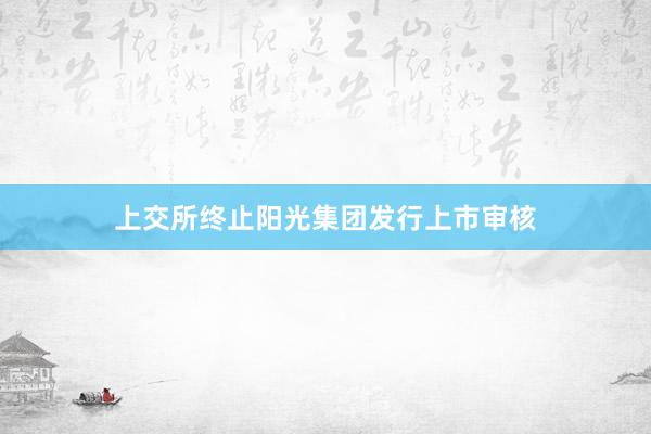 上交所终止阳光集团发行上市审核