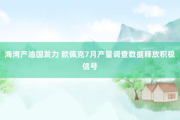 海湾产油国发力 欧佩克7月产量调查数据释放积极信号
