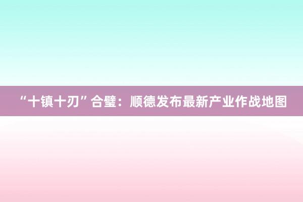 “十镇十刃”合璧：顺德发布最新产业作战地图