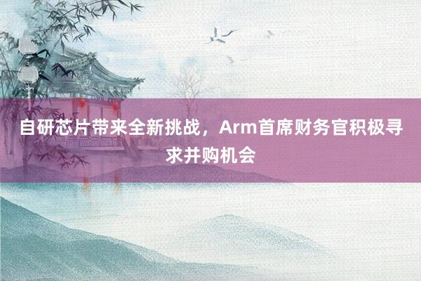 自研芯片带来全新挑战，Arm首席财务官积极寻求并购机会