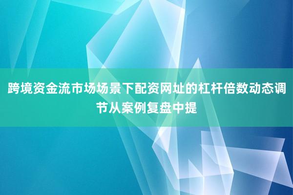跨境资金流市场场景下配资网址的杠杆倍数动态调节从案例复盘中提