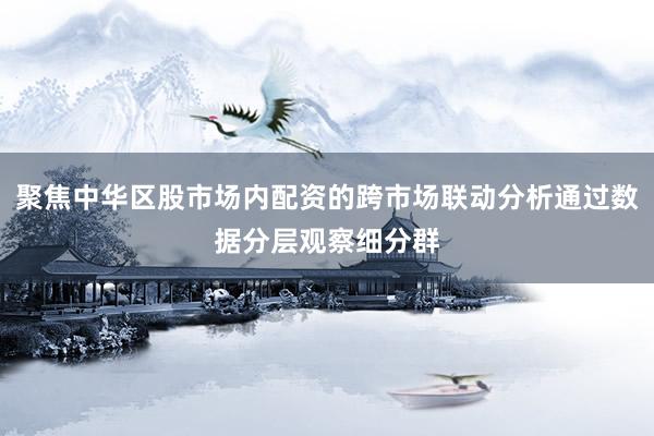 聚焦中华区股市场内配资的跨市场联动分析通过数据分层观察细分群