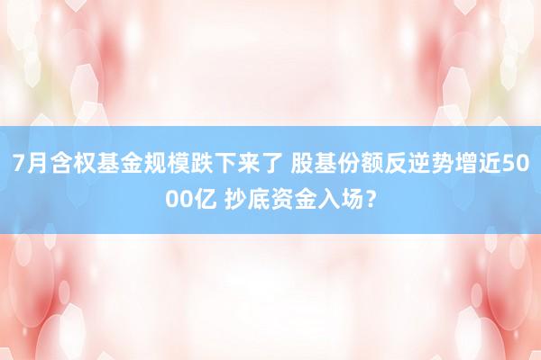 7月含权基金规模跌下来了 股基份额反逆势增近5000亿 抄底资金入场？