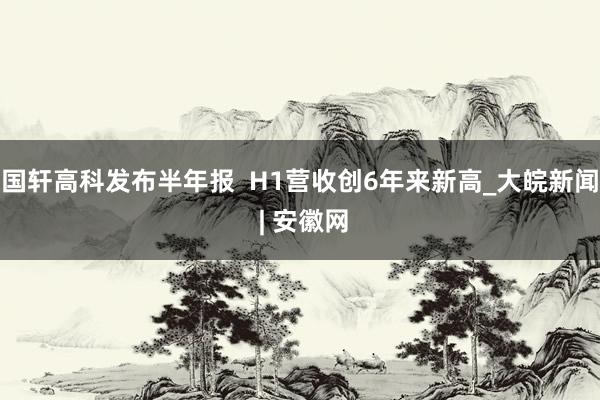 国轩高科发布半年报  H1营收创6年来新高_大皖新闻 | 安徽网
