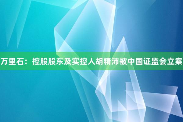 万里石：控股股东及实控人胡精沛被中国证监会立案