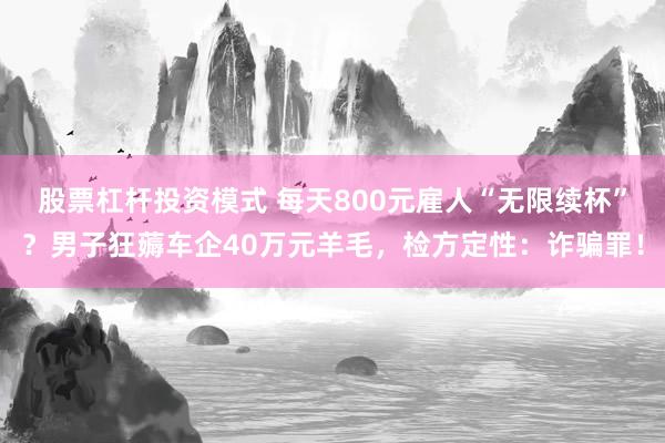 股票杠杆投资模式 每天800元雇人“无限续杯”？男子狂薅车企40万元羊毛，检方定性：诈骗罪！