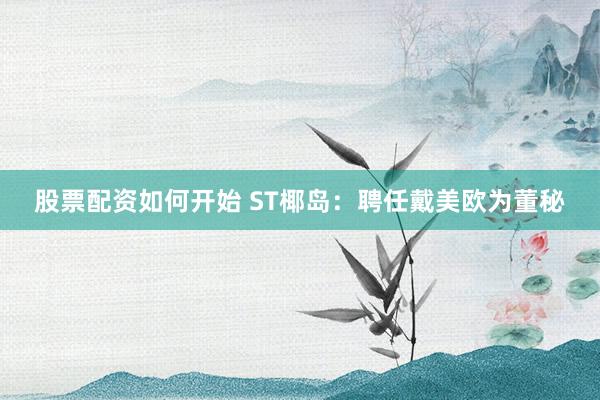 股票配资如何开始 ST椰岛：聘任戴美欧为董秘