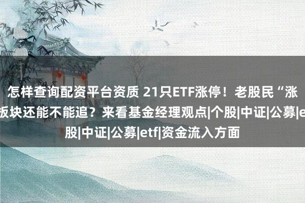 怎样查询配资平台资质 21只ETF涨停！老股民“涨到心慌”，热点板块还能不能追？来看基金经理观点|个股|中证|公募|etf|资金流入方面