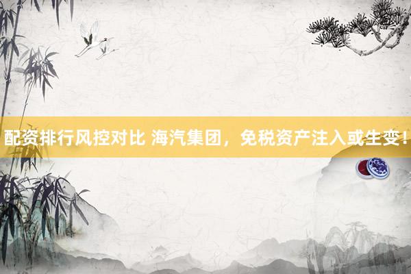 配资排行风控对比 海汽集团，免税资产注入或生变！