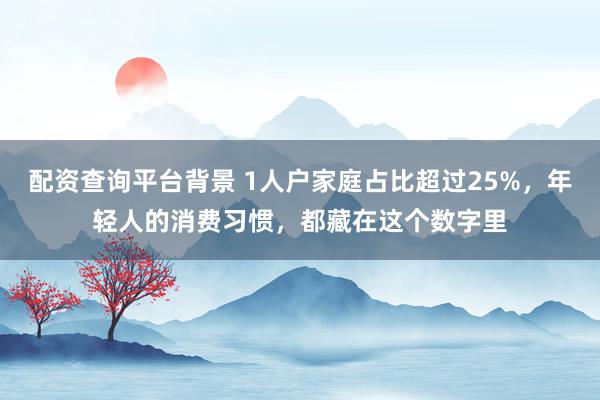 配资查询平台背景 1人户家庭占比超过25%，年轻人的消费习惯，都藏在这个数字里